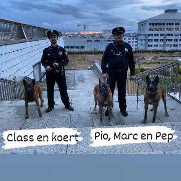 Kunstenfestivaldesarts